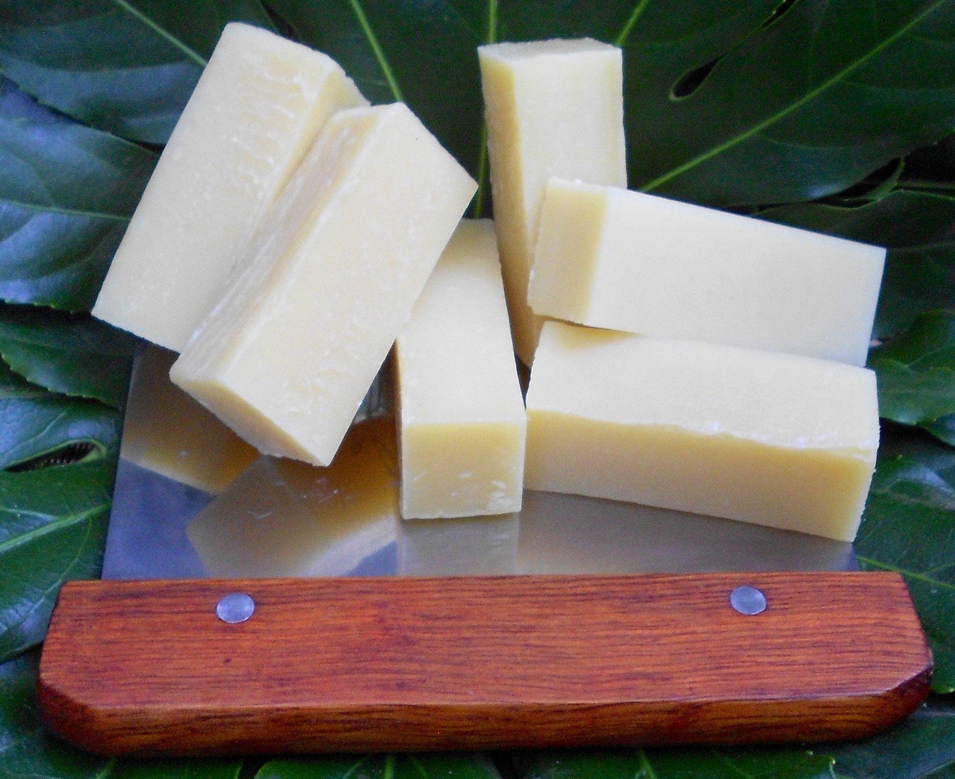 Assorted soap bars on green leaf with wooden soap holder